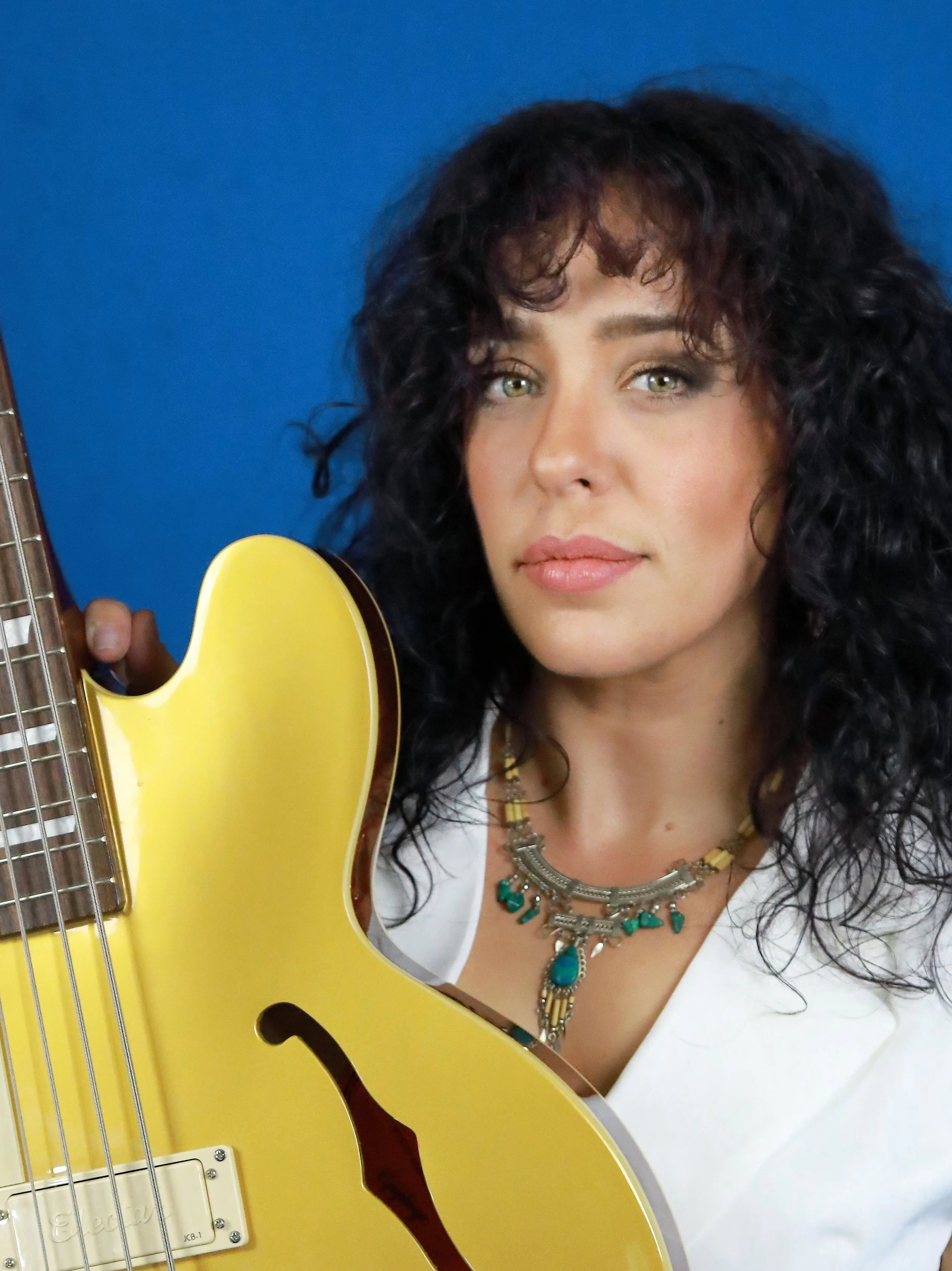 Danielle Nicole | Discover and Experience Blues — Forty Below Records